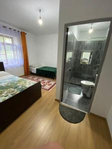 Guesthouse "Haxhiu" - Sopot, Diber - Image 15