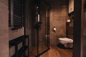 a bathroom with a shower and a toilet at Rozewie Apart in Jastrzębia Góra +29 photos