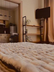 een slaapkamer met een bed en een flatscreen-tv bij Apart23 in Lviv