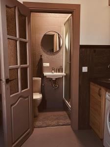 een badkamer met een toilet, een wastafel en een spiegel bij Apart23 in Lviv