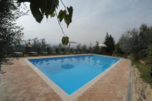 The swimming pool at or close to Gli Oleandri