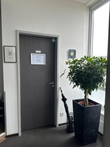 a plant in a pot in front of a door at Arena Hostel & Monteurzimmer in Hamburg