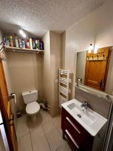 a bathroom with a toilet and a sink at Studio au pied des pistes in Châtel