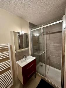 a bathroom with a shower and a sink and a shower at Studio au pied des pistes in Châtel