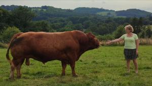 Una mujer parada junto a una vaca marrón en un campo en La petite ferme de Lucie et Andréa, en Saint-Vitte-sur-Briance