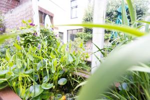 Giardino di B&B Brouwersvaart