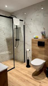 une salle de bain avec douche et toilettes dans l'établissement Rising Sun 3 by Housine,pl, à Zator