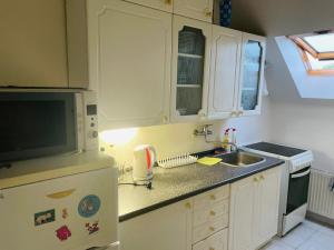 La cuisine est équipée d'un réfrigérateur blanc et d'un évier. dans l'établissement Pokoje s vlastní koupelnou a WC, à Doksy