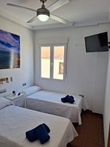 a bedroom with two beds and a tv and a window at Apartamentos La Calilla Cabo de Gata in El Cabo de Gata