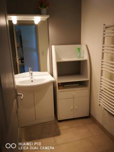ein Bad mit einem Waschbecken und einem Spiegel in der Unterkunft Logement spacieux agréable in Saint-Privat