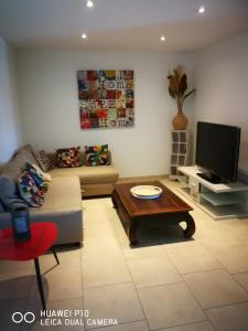 ein Wohnzimmer mit einem Sofa und einem TV in der Unterkunft Logement spacieux agréable in Saint-Privat
