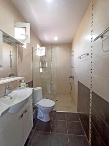 uma casa de banho com um WC, um lavatório e um chuveiro em Golf Villa Ariel em Kavarna