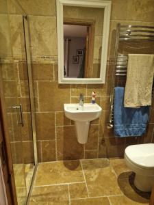 a bathroom with a sink and a shower and a toilet at Shanadune in Tralee
