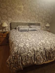 ein Schlafzimmer mit einem Bett, zwei Lampen und einer Wand in der Unterkunft Shanadune in Tralee