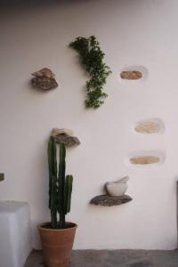 a white wall with a cactus and some rocks at A casa d’ Irene in Kampos Paros