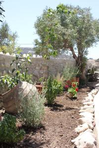 a garden with plants and a stone wall at A casa d’ Irene in Kampos Paros