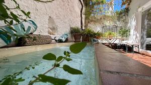 a pool of water in a courtyard with plants at Casa Bambu in Granada