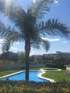 un palmier installé à côté d'une piscine dans l'établissement Port Aventura 5 min à pied - Superbe appartement, à Salou