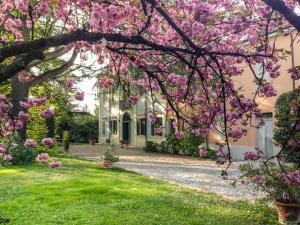 a garden with pink flowers on a tree at Corte Finzi in Sala Baganza