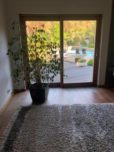 Vonkajšia záhrada v ubytovaní Apartament przy lesie