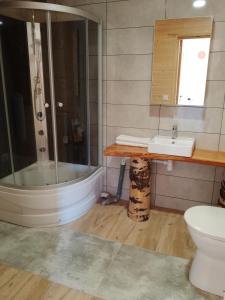 Dom Wypoczynkowy Cieklinka في Dębowiec: حمام مع دش ومرحاض ومغسلة