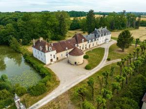 Château de Villefargeau في Villefargeau: اطلالة جوية على بيت كبير مع بحيرة