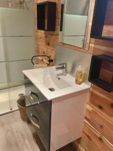 ein Bad mit einem Waschbecken und einem Spiegel in der Unterkunft Bungalow de Coco in Saint-Paul