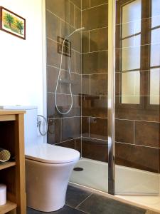 y baño con ducha y aseo. en LA SOURCE DE BARDON, en Saint-Aignan