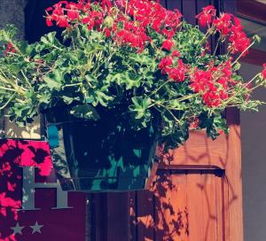 a pot of red flowers on a wooden wall at Hôtel Le Lievre Blanc in Vars