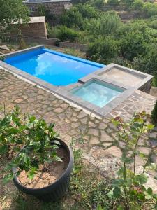 una piscina azul en un patio con una planta en NorDar en Garni