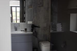 a bathroom with a sink and a toilet and a mirror at Utriai Guest Place in Utriai