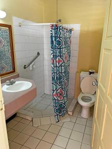 a bathroom with a toilet and a shower curtain at Sundeck Suites in Boissiere Village