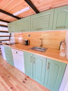 a kitchen with green cabinets and a sink at Butka tiny house in Ardeşen