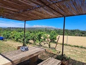 a picnic table under a straw roof with a view of a vineyard at Roulotte en bois in Fuveau