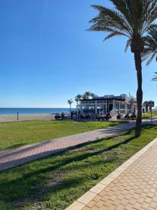 uma palmeira ao lado de um passeio perto da praia em Apartamentos La Gaviota em Roquetas de Mar