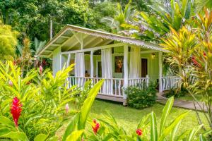 una pequeña casa en medio de un jardín en La Rana De Cahuita en Cahuita