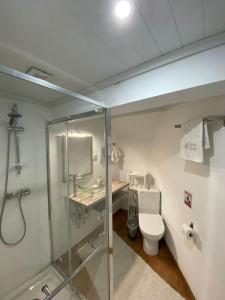 a bathroom with a shower and a toilet and a sink at Casa Cecí Douro in Cidadelhe