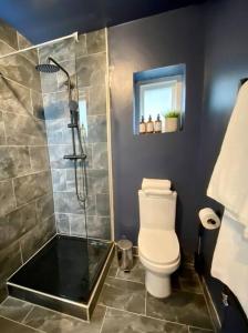 uma casa de banho com um WC e uma cabina de duche em vidro. em Stylish Studio near Regents Park n6 em Londres
