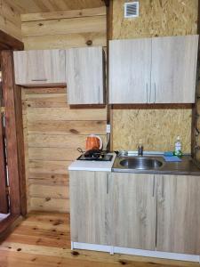 - une cuisine avec un évier et un comptoir dans l'établissement База відпочинку Діана, à Szack