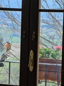 una puerta con un pájaro parado fuera de una ventana en "Castel D Arno Guest House Assisi Perugia", en Pianello
