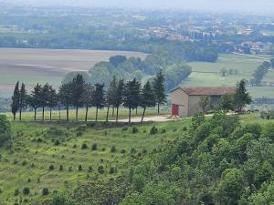un campo con un granero y árboles en una colina en "Castel D Arno Guest House Assisi Perugia", en Pianello