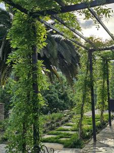 a garden with a pergola and a pathway at "Castel D Arno Guest House Assisi Perugia" in Pianello