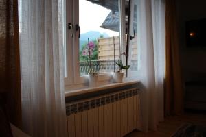 a window with two potted plants on a window sill at Willa Doris in Zakopane