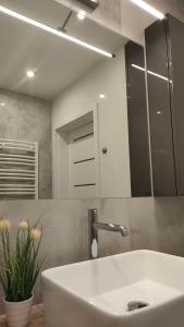 a bathroom with a white sink and a mirror at Apartament Azul in Cieszyn