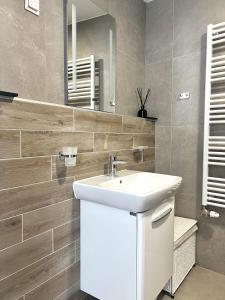 布達佩斯的住宿－VP Suites，浴室设有白色水槽和镜子