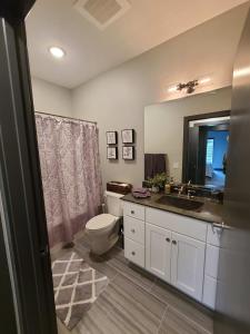 a bathroom with a toilet and a sink and a mirror at 520 Neil Luxury 2 Bedroom in Champaign