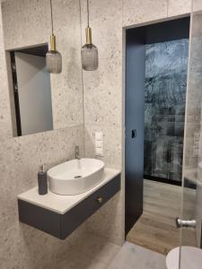 La salle de bains est pourvue d'un lavabo et d'un miroir. dans l'établissement Stańczyka Apartment, à Cracovie