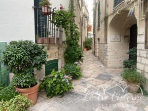 Zahrada ubytování B&B Le Tre Cisterne Altamura - Matera