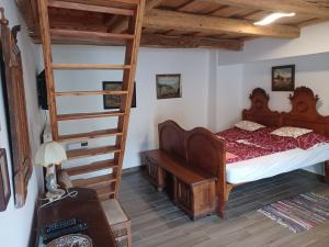 a bedroom with a bunk bed and a ladder at Kondás ház in Döröske