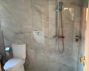 ein Bad mit einer Dusche und einem WC in der Unterkunft Villa Dyrrahu in Golem
